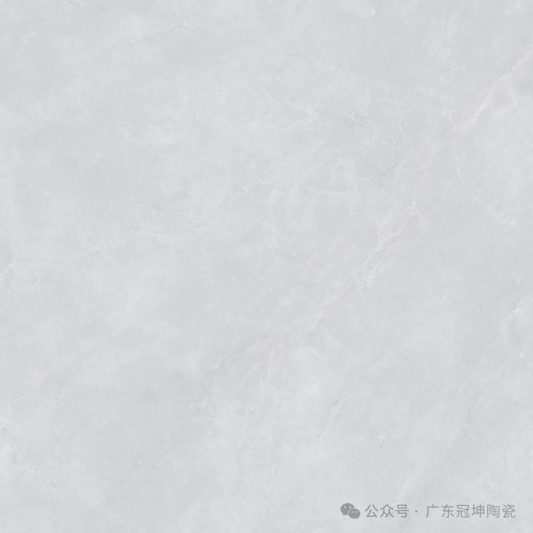 05.webp.jpg