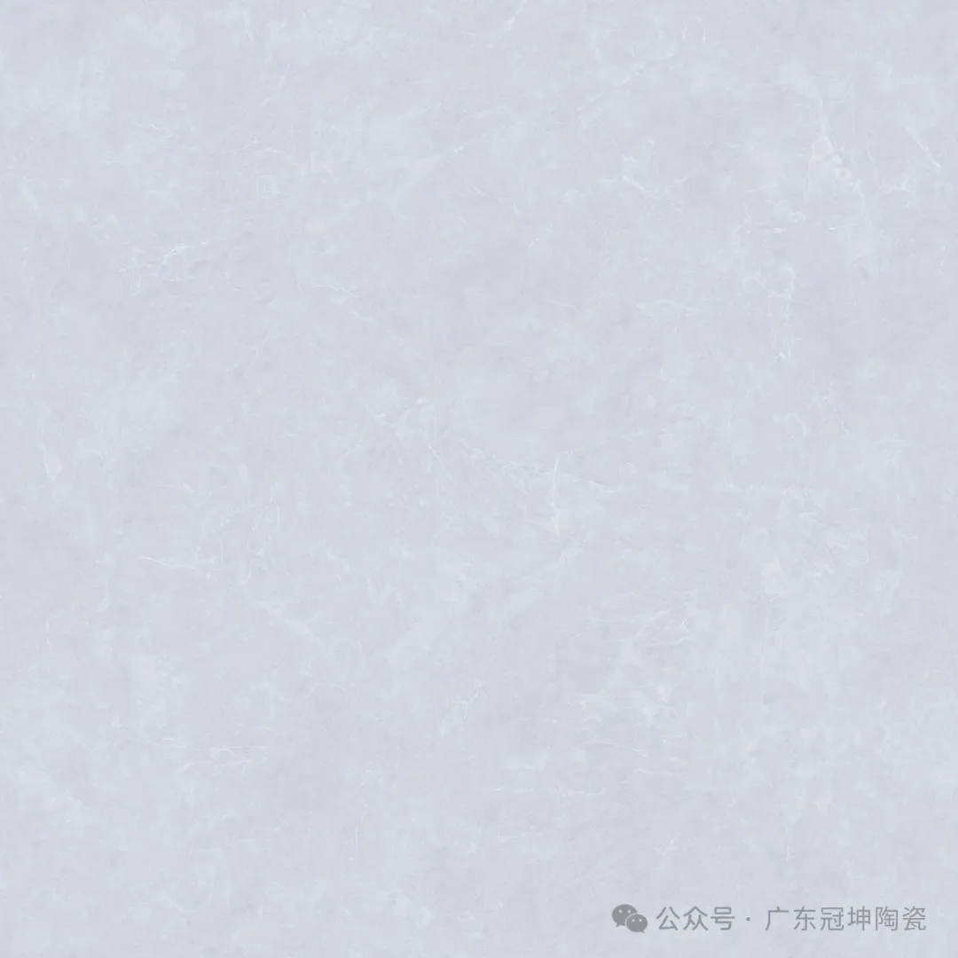 11.webp.jpg